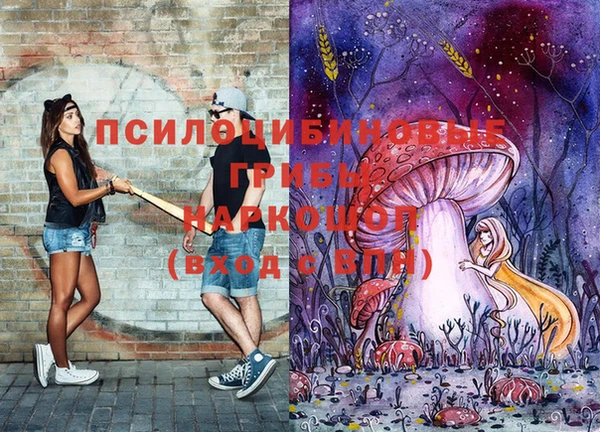 мдма Богданович